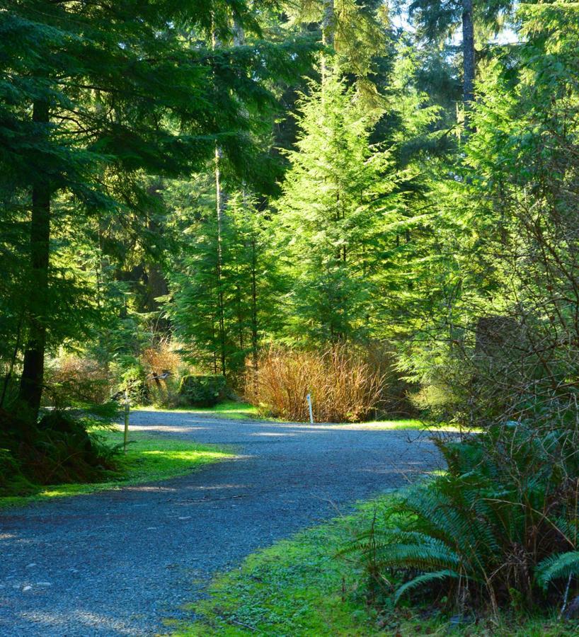 Pioneer Inn By The River Port Hardy Extérieur photo